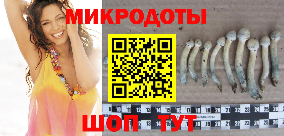 купить  сайты  Вход с VPN  Галлюциногенные грибы Psilocybe  Партизанск  Галлюциногенные грибы ЛСД 